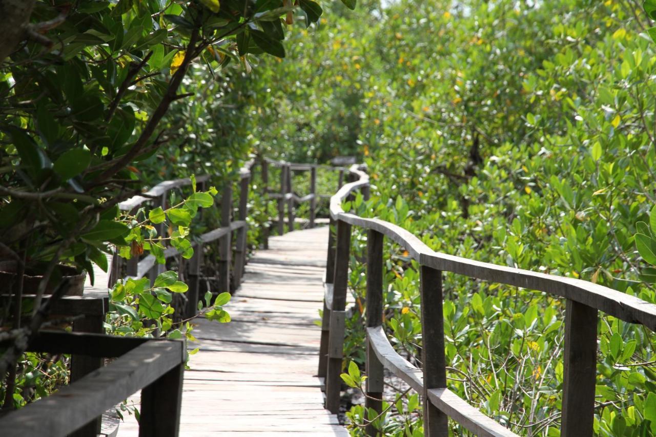 Bintang Bolong Lodge ภายนอก รูปภาพ