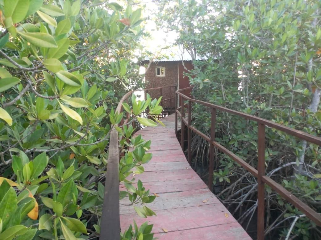 Bintang Bolong Lodge ภายนอก รูปภาพ